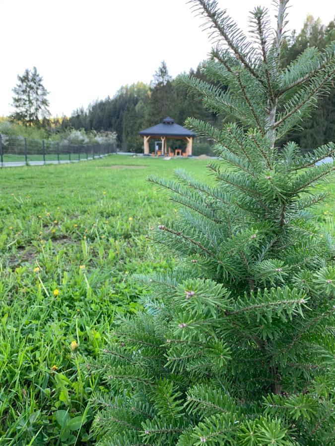 Domki Horizon - Dobre Miejsce Niedzica Eksteriør bilde